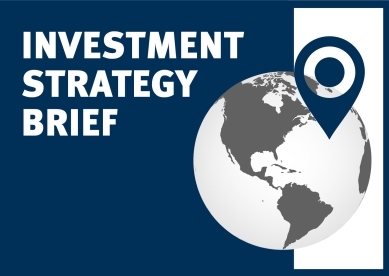 Investment Strategy Brief